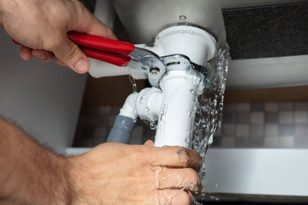 Best Water damage contractors near me  in Molalla, OR