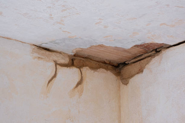 Best Ceiling water damage repair  in Molalla, OR