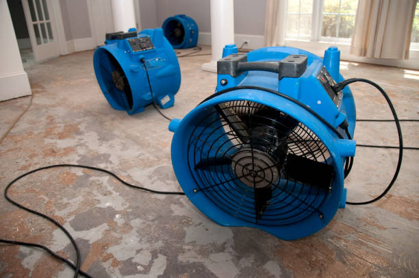 Water damage restoration experts in Molalla, OR