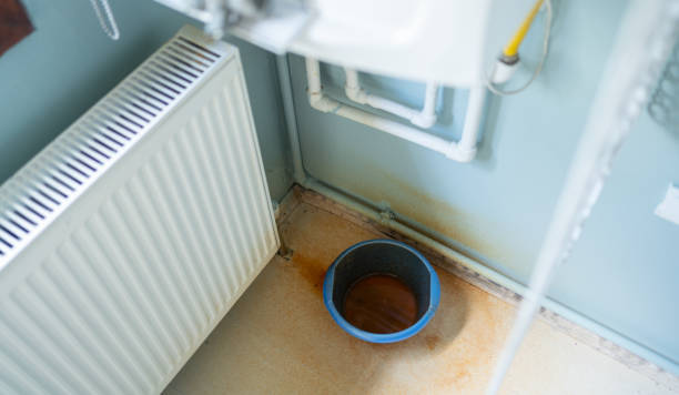 Best Fire Damage Restoration  in Molalla, OR