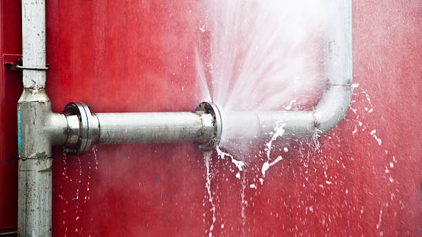 Best Water damage restoration experts  in Molalla, OR