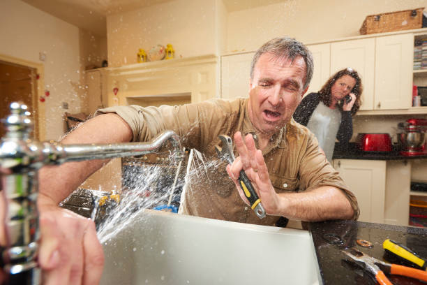 Best Carpet water damage restoration  in Molalla, OR